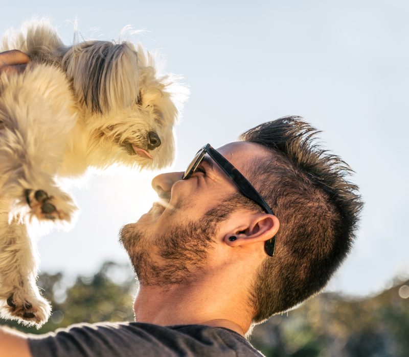 Cool dog playing with his owner