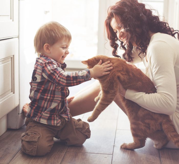 Mother and child playing with cat