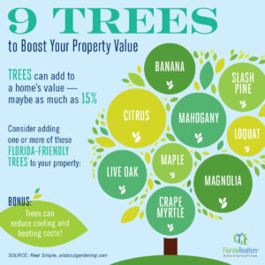 Trees Boost Your Property Value